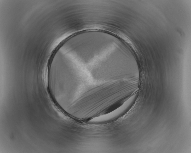 X0000113051127200910081226