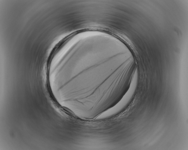 X0000113051128200910081226