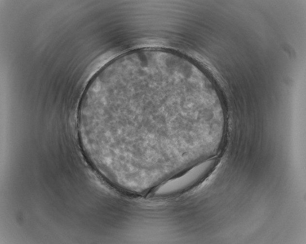 X0000113051129200910081226