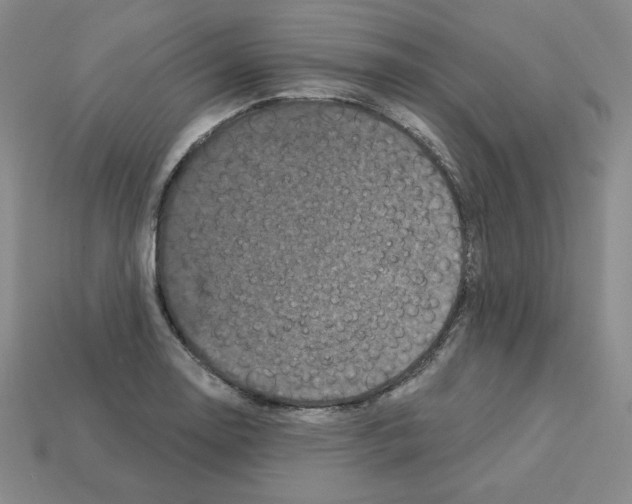 X0000113051130200910081226