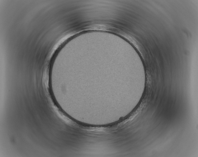 X0000113051131200910081226