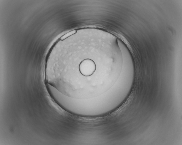 X0000113051132200910081226