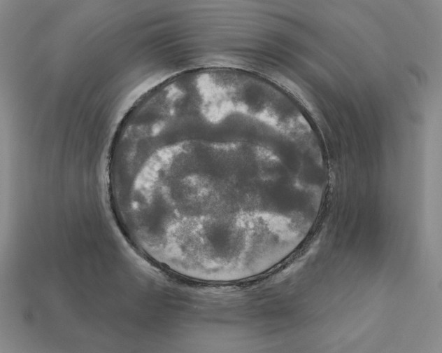X0000113051133200910081226