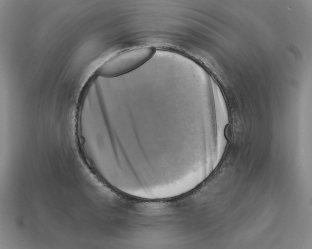 X0000113051134200910081226