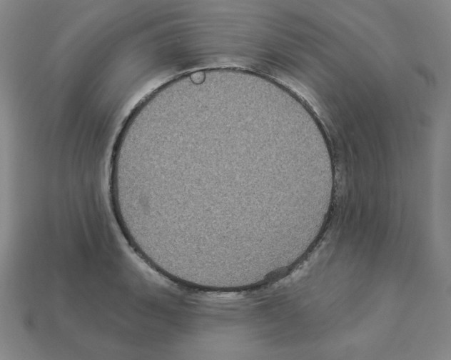 X0000113051135200910081226