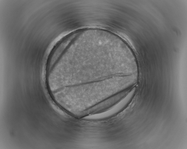 X0000113051136200910081226