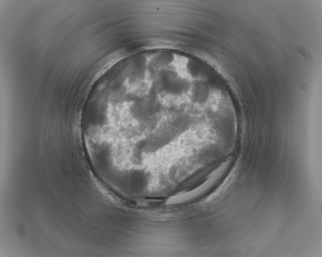 X0000113051137200910081226