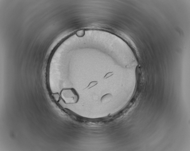 X0000113051138200910081226