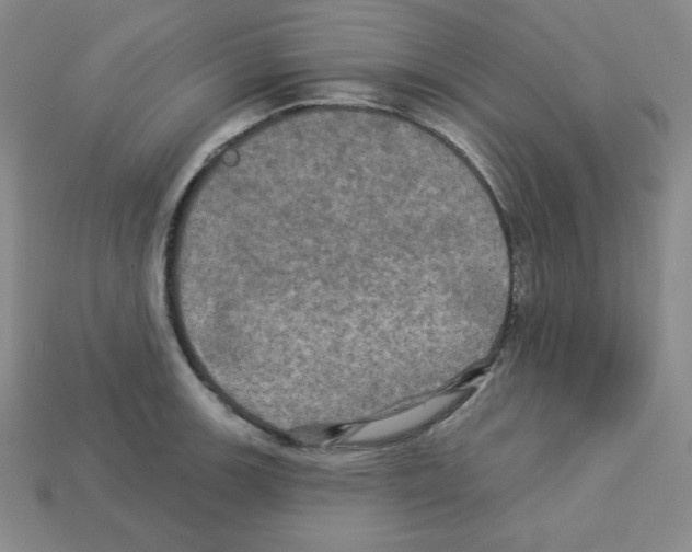 X0000113051139200910081226