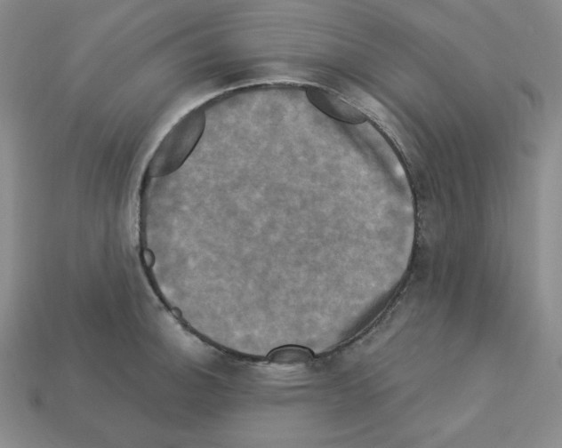 X0000113051140200910081226