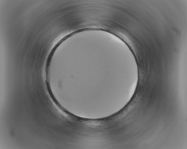 X0000113051141200910081226