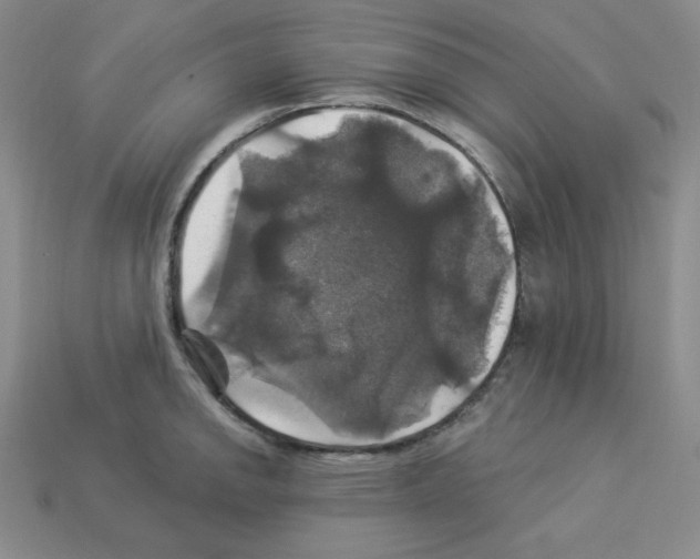 X0000113051142200910081226