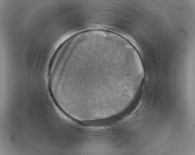 X0000113051143200910081226