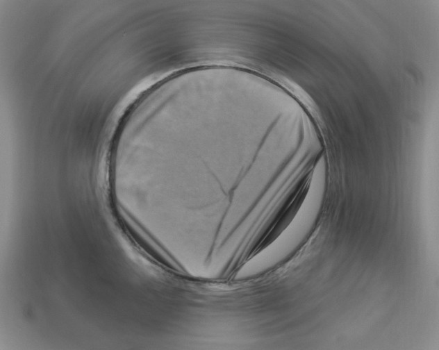 X0000113051144200910081226