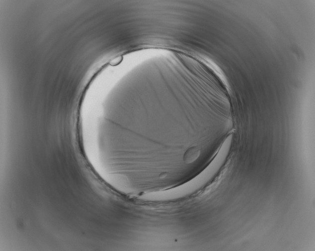 X0000113051146200910081226