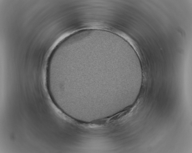 X0000113051147200910081226