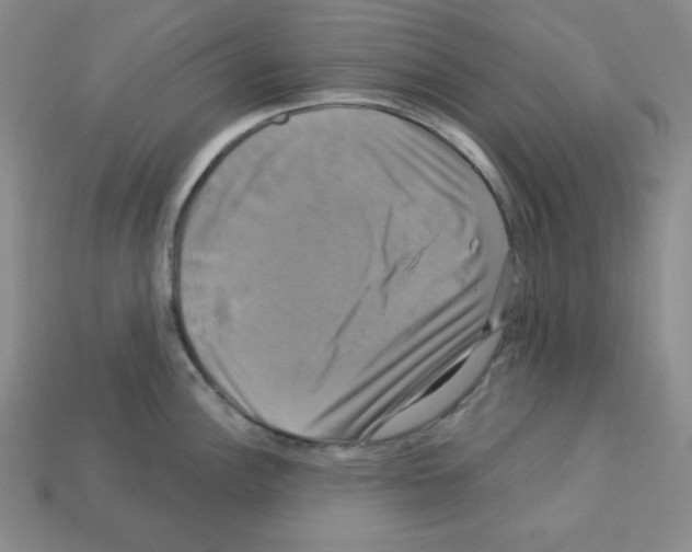 X0000113051148200910081226