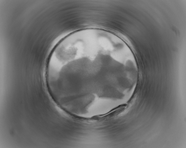 X0000113051149200910081226