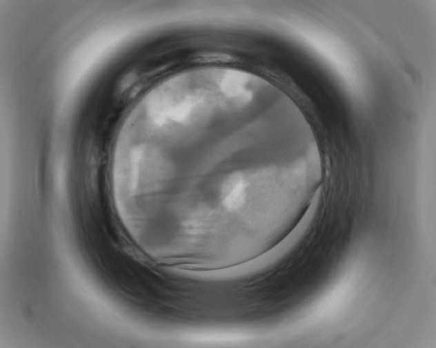 X0000113051151200910081226