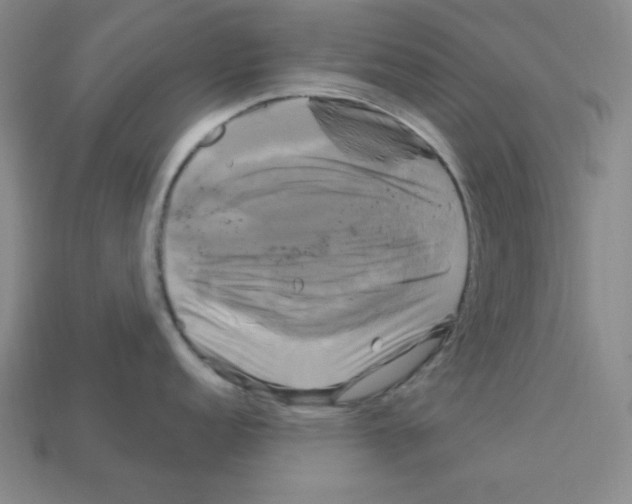 X0000113051152200910081226