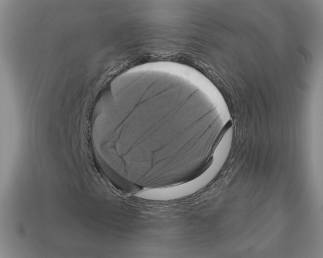 X0000113051153200910081225