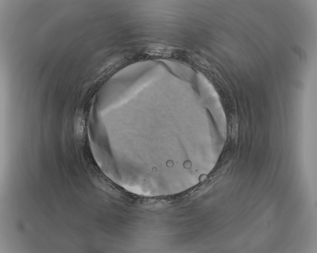 X0000113051154200910081225