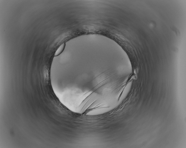 X0000113051155200910081225