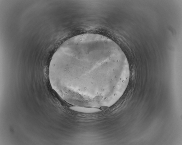 X0000113051156200910081225