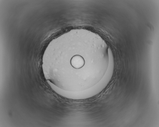 X0000113051157200910081225