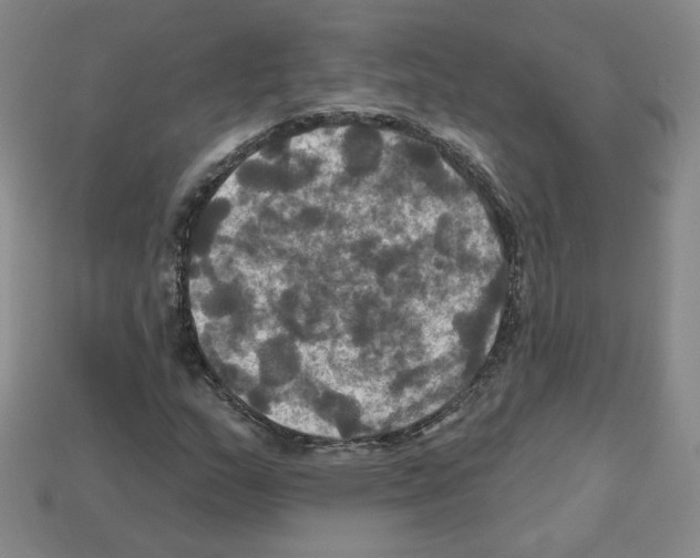 X0000113051159200910081225