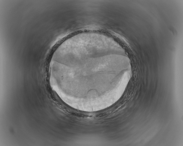 X0000113051160200910081225