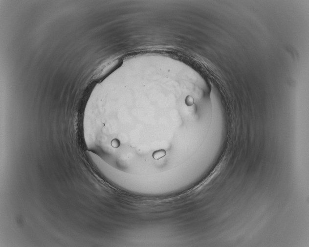 X0000113051161200910081225