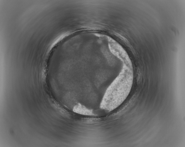 X0000113051163200910081225
