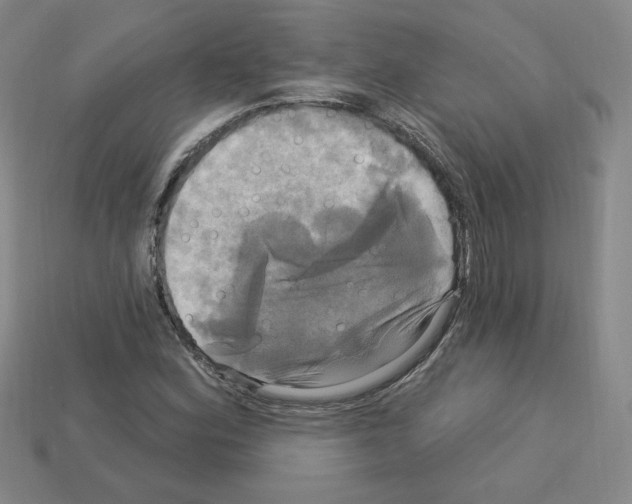 X0000113051164200910081225