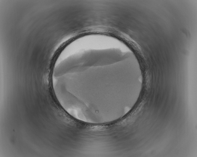 X0000113051166200910081225