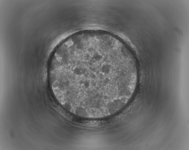 X0000113051167200910081225
