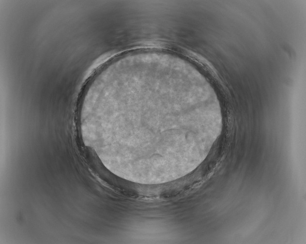 X0000113051168200910081225
