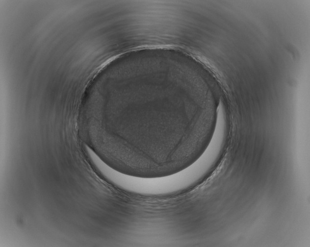 X0000113051169200910081225