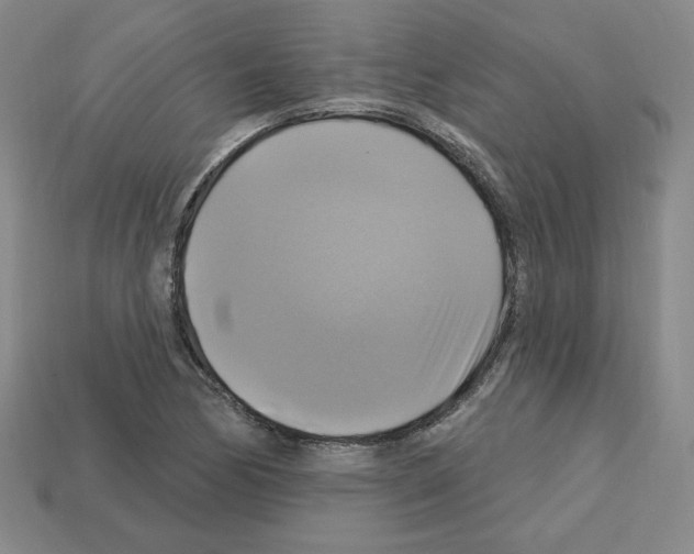 X0000113051170200910081225