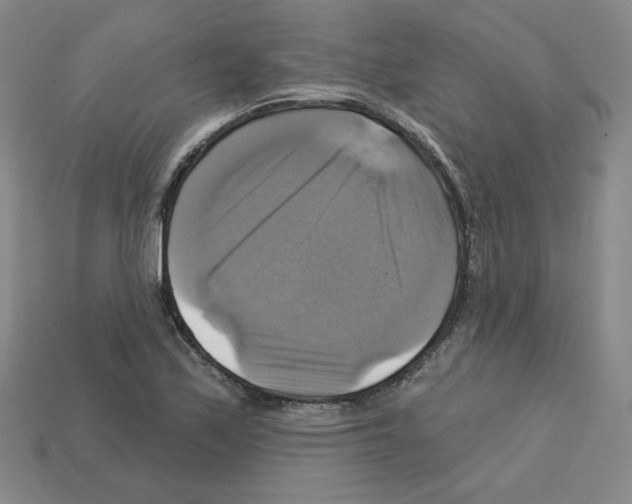 X0000113051171200910081225