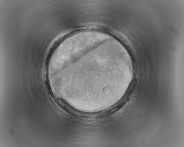 X0000113051172200910081225