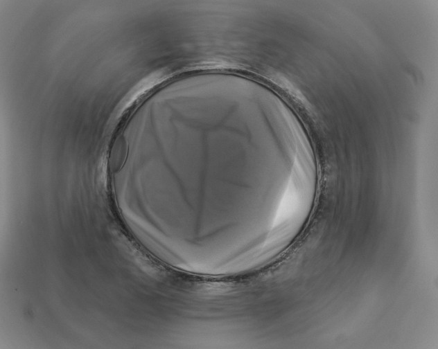 X0000113051173200910081225