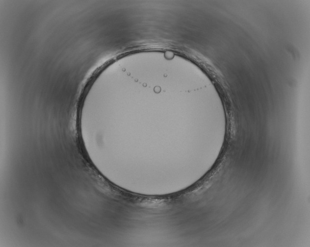 X0000113051174200910081225