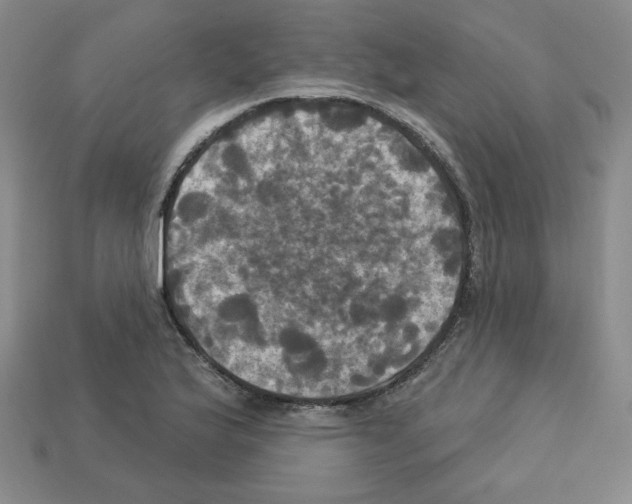 X0000113051175200910081225