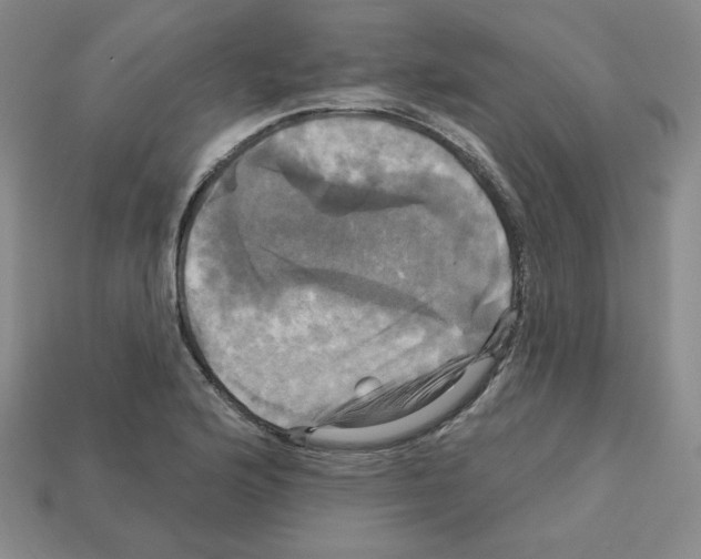 X0000113051176200910081225