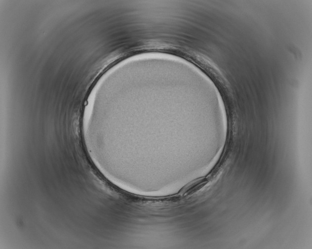 X0000113051177200910081225
