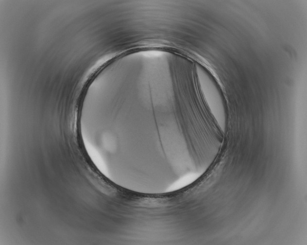 X0000113051179200910081225