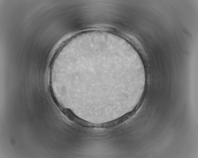 X0000113051180200910081225