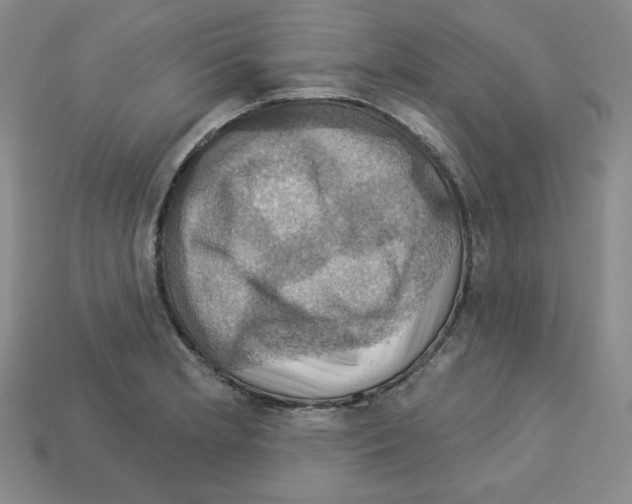 X0000113051181200910081225