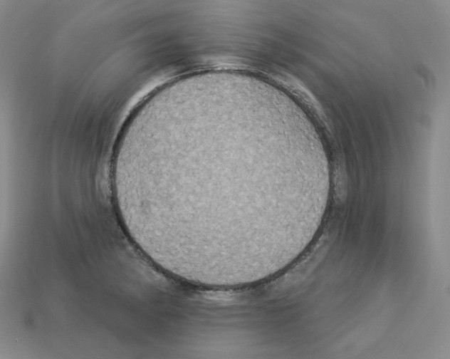 X0000113051182200910081225